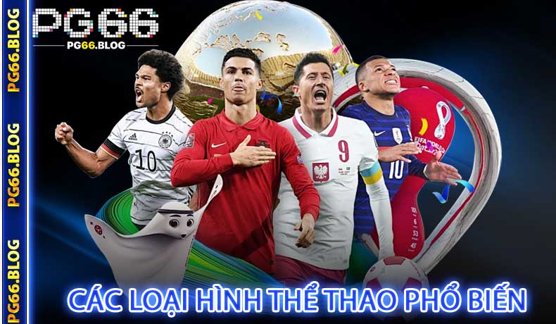Các loại hình thể thao phổ biến