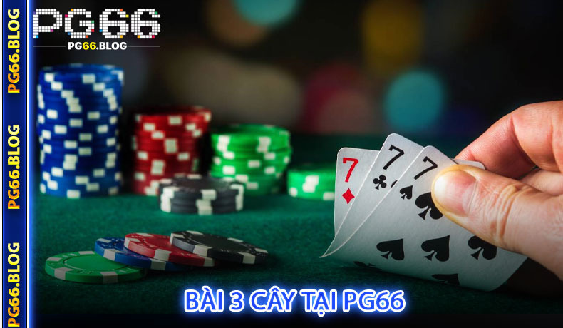 Bài 3 cây