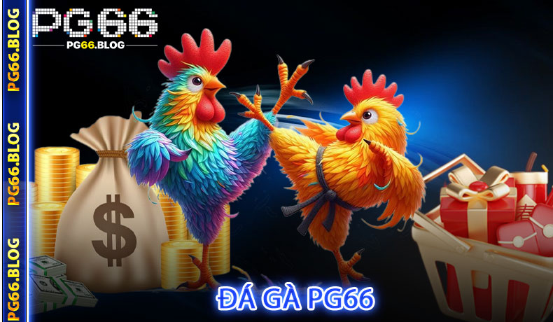 Đá gà PG66