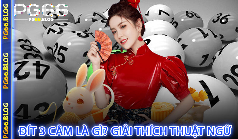 Đít 3 Câm Là Gì? Giải Thích Thuật Ngữ