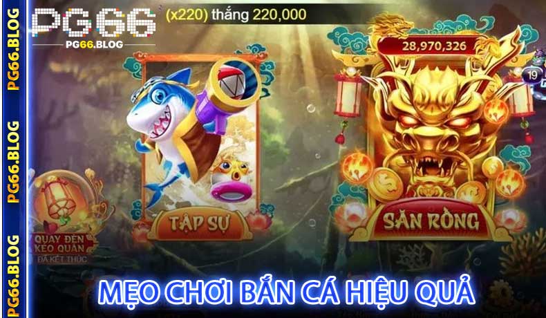 Mẹo Chơi Bắn Cá Hiệu Quả